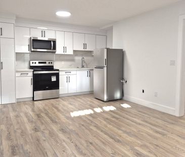 2715 201 St, Langley (Basement 2) - Photo 6