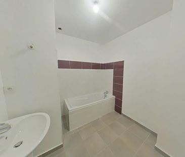 Location Appartement 2 pièces 47m² ROMANS SUR ISERE 26100 - Photo 4