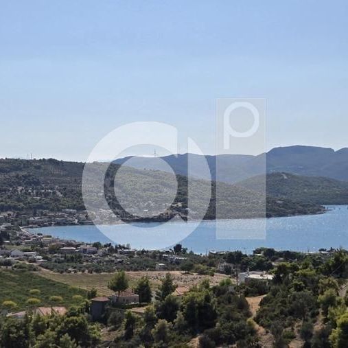Μονοκατοικία για ενοικίαση Μαλεσίνα - Photo 1