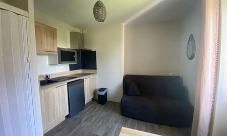 Location Appartement 1 pièce LIMOGES (87000) - Photo 2