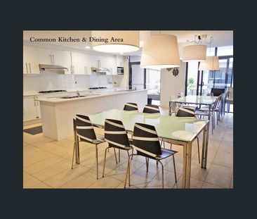 46/305 Anzac Parade -, Kingsford NSW 2032 - Studio For Rent | Domain - Photo 4