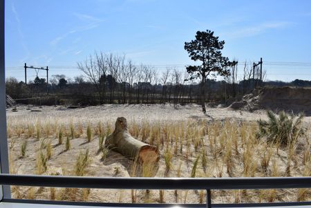 Galileistate 109 - Photo 4