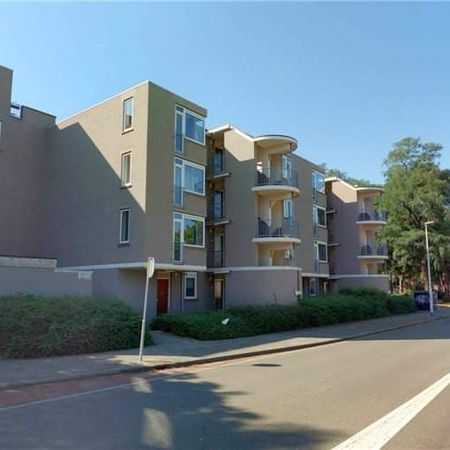 Chambre à louer à Sibeliuslaan 13/B, Eindhoven - Foto 3