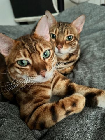 East Perth - Photo 2