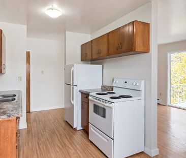 1 Bedroom - Photo 1