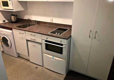 Fully Furnished Studio for Rent in Thorndon – Walk to CBD & University! - Photo 4