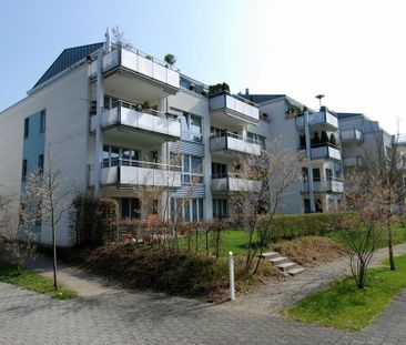 2.5 Zimmer, 61 m², EG - Foto 5