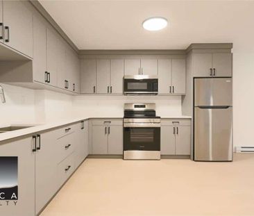 5181 Booth Ave, Burnaby (Basement Suite) - Photo 3