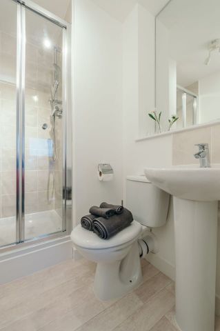 2 Bed Flat, Springfield Gardens, G31 - Photo 5