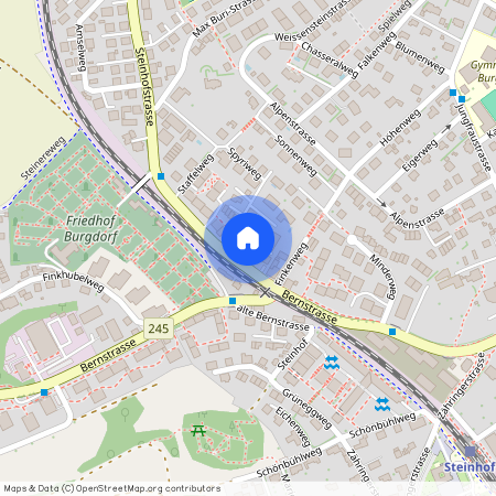 3400, Burgdorf, Steinhofstrasse, 63