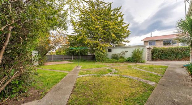 Solid, sunny & renovated - Photo 1