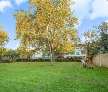 1 bedroom house to rent - Photo 2