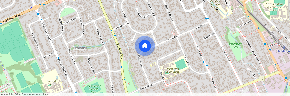 46 Puriri Road, Manukau City, Manurewa