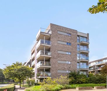 Ruim en energiezuinig gelijkvloers appartement op wandelafstand van het centrum van Tongeren - 2-slaapkamers - inclusief privatief terras en kelderberging! - Photo 6