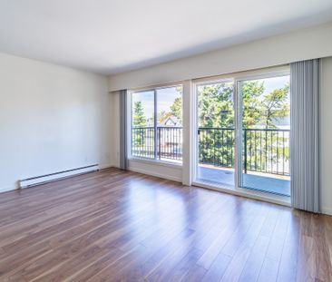 Royal Arms - Photo 3