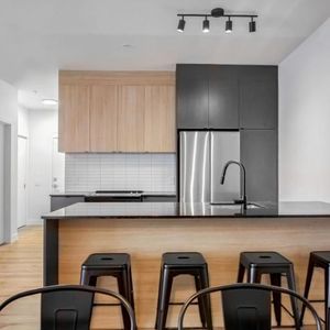 3 1/2 - Montréal (La Petite-Patrie) - 1 750 $/mois - Photo 3