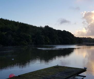 1 bedroom detached house to rent - Photo 6