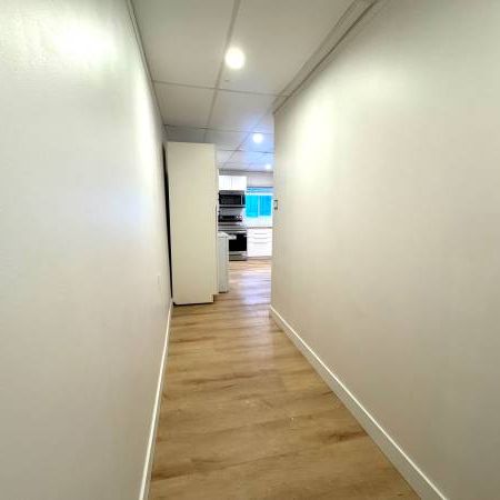 FULLY Renovated 2 beds 1 bath - Photo 4