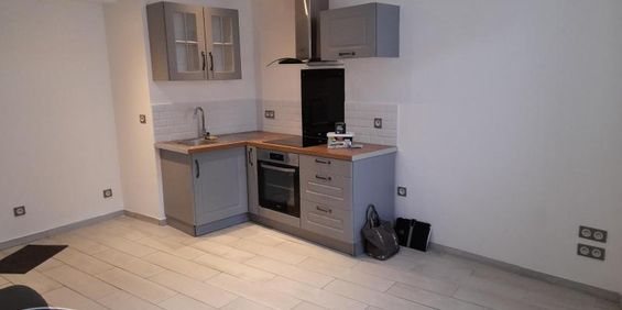 Location Appartement 2 pièces 40m² SALLAUMINES 62430 - Photo 3