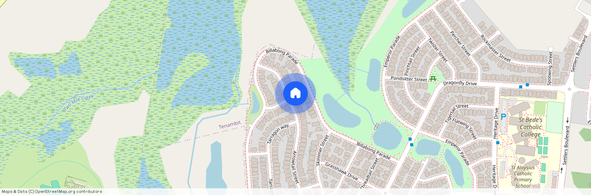 106 Arrowtail Street CHISHOLM, NSW 2322