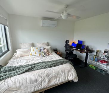 Palmview - Photo 5