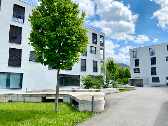 MINERGIEWOHNUNG NÄHE BAHNHOF AESCH BL - Foto 1