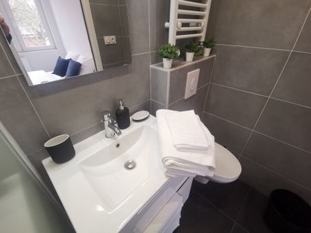 Location Maison 7 pièces 170m² LILLE 59000 - Photo 5