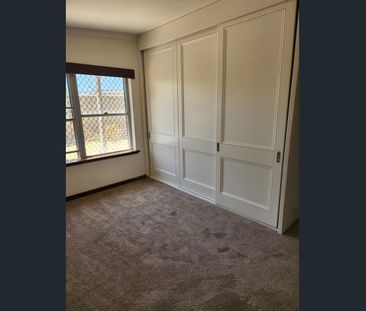 SURF’S UP Exceptional Rental Opportunity in Trigg - Photo 5