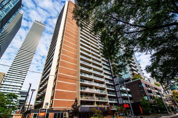 Junior One Bedroom - Photo 1