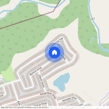 98 Muskox Drive Unit# (Main), Toronto