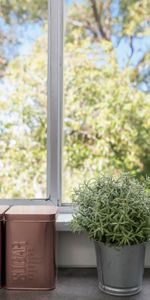 4/70 Surrey Street, Darlinghurst NSW 2010 - Studio For Rent | Domain - Photo 3