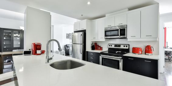 Grand Condo 4 1/2 Ste-Catherine - Photo 3