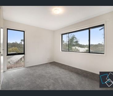 Spacious Family Home in the heart of Chapel Hill - Photo 5