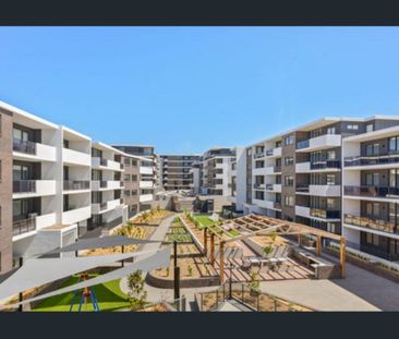 beautiful 2 Bedroom Apartment - Available Now! - Photo 6