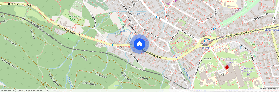 8055, Zürich, Birmensdorferstrasse, 582