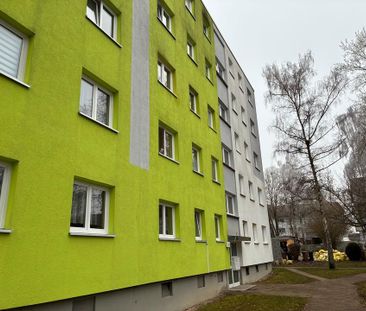 frisch renovierte 3 Zimmerwohnung am Zanger Berg - Photo 1