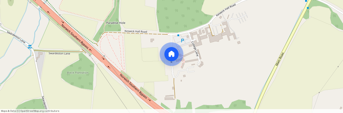 Bridle Lane, Norwich NR4