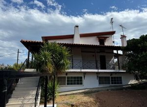 Μονοκατοικία για ενοικίαση - Ωρωπός - Photo 2