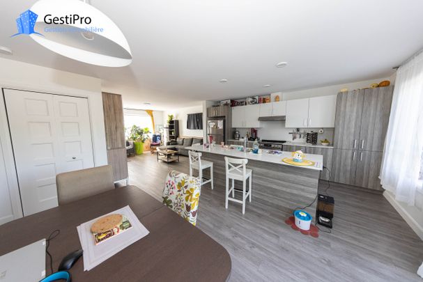 8627-8641 boul. St-Jacques - Photo 1