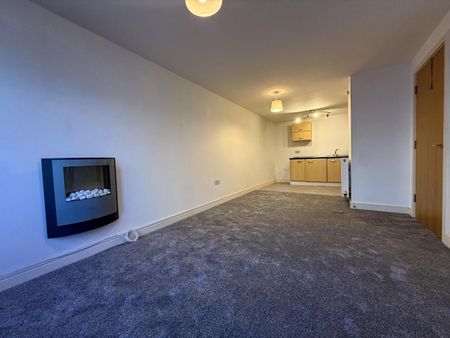 Ebrington Street, Plymouth - Photo 4