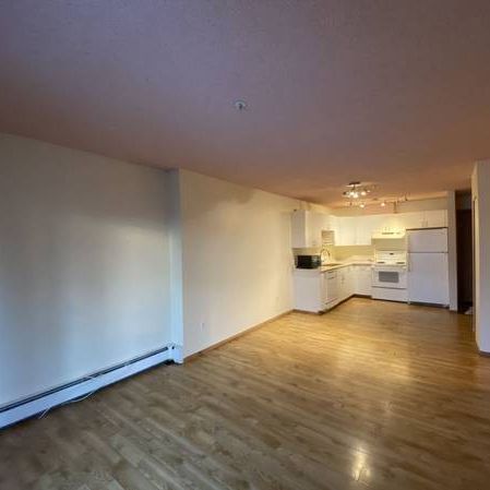 2-Bedroom Suite with in-unit Laundry near Stadium Edmonton LRT Station - Photo 3