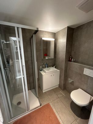 Charmant studio au cœur de Paudex, proche de toutes commodités - Foto 1