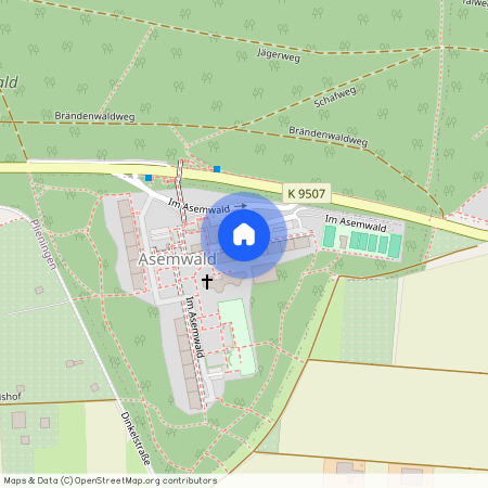 Asemwald, 70599 Stuttgart - Plieningen