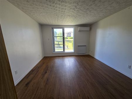 2000-307, rue Gauthier, Sherbrooke, J1H 6A5 4½ ( novembre 2025) - Photo 2