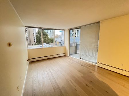 1 Bedroom - Photo 4