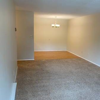 Large 2 bedroom 1.5 bathroom with in suite laundry - Photo 1