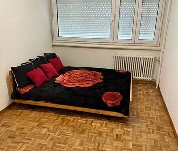 APPARTEMENT 3 PIÈCES À GRAND-LANCY (GE), MEUBLÉ - Photo 3