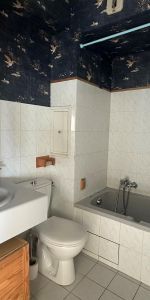 Location Appartement 1 pièce 19m² BLOIS 41000 - Photo 3