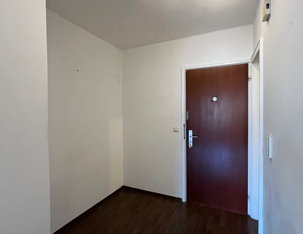 ab 01.04. - Große 1-Zimmer-Wohnung in Kirchseeon-Eglharting - Foto 1