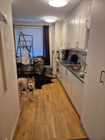 Hossabergsvägen, Öjersjö - Foto 5